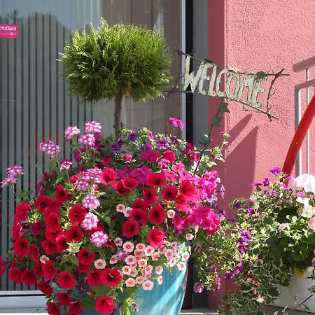 Hotel Buerger