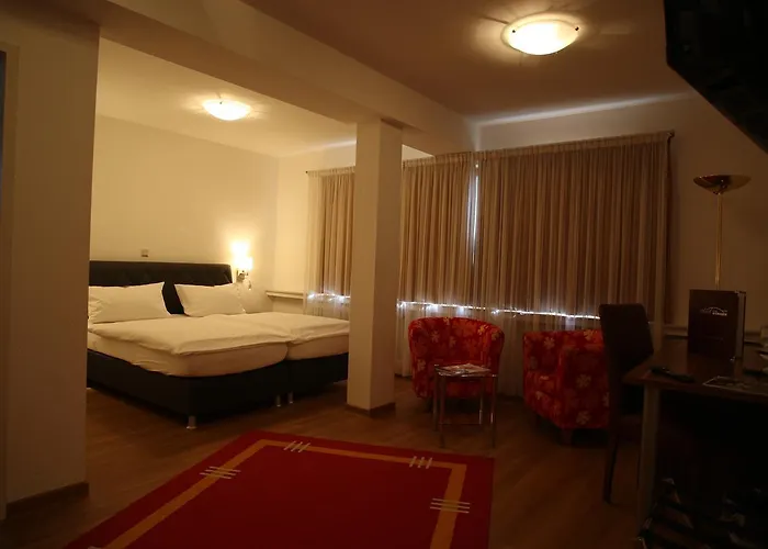 Buerger Hotel 3*